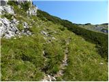 Planina Podvežak - Tolsti vrh (Veža)